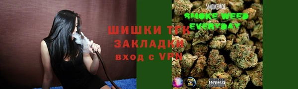 стаф Надым