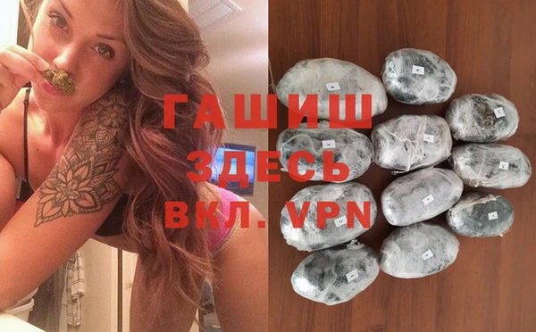 стаф Надым