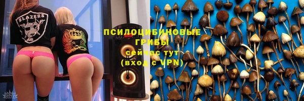 стаф Надым