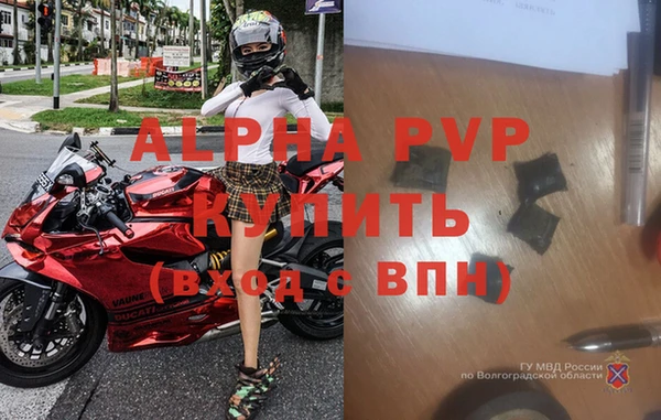стаф Надым