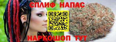 сатива Аргун