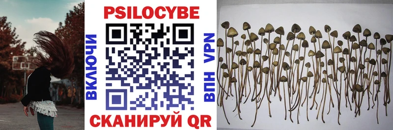 Галлюциногенные грибы Cubensis  Балаково 