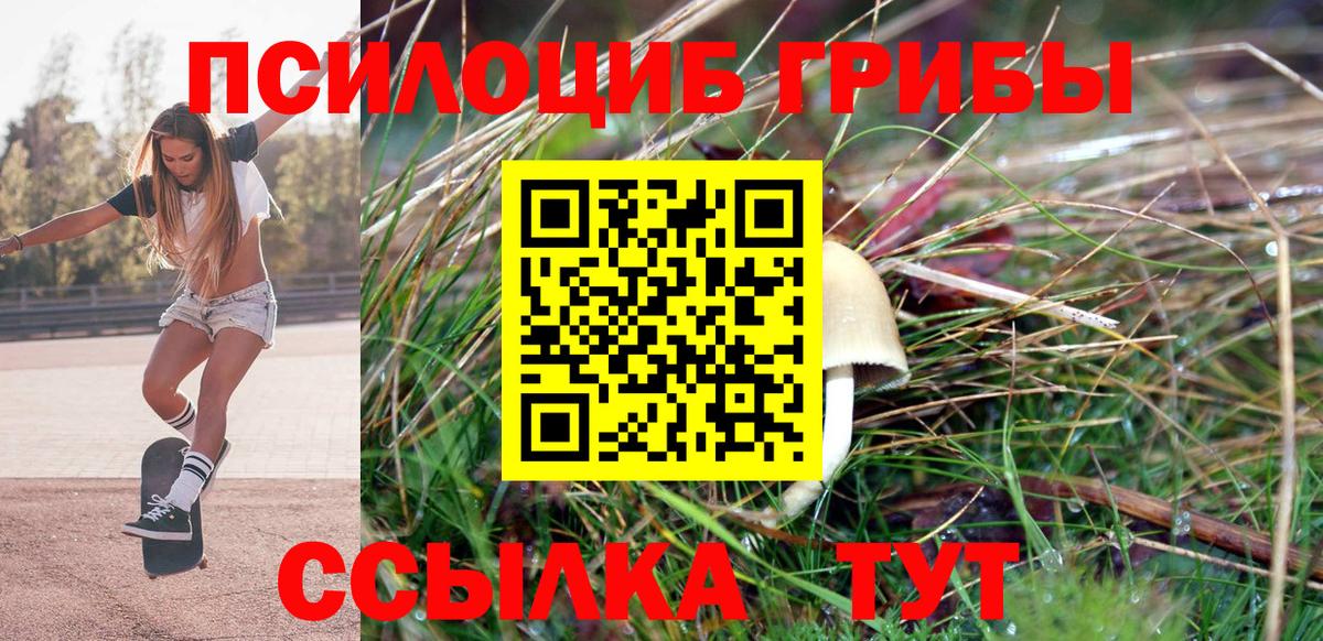 Псилоцибиновые грибы MAGIC MUSHROOMS  Псилоцибиновые грибы мухоморы  Вход с VPN  Балаково 