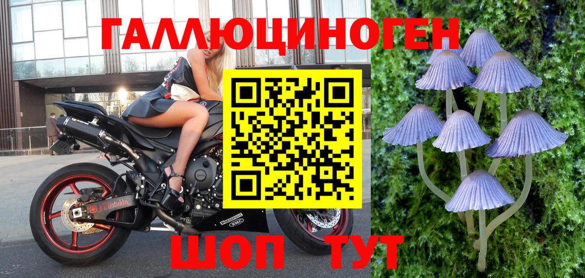 Псилоцибиновые грибы мицелий Балаково